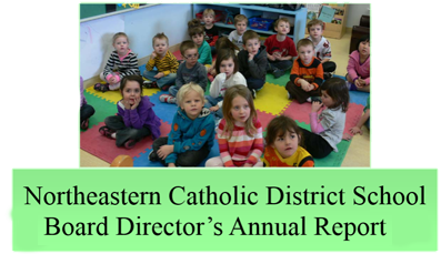 Director's Annual Report